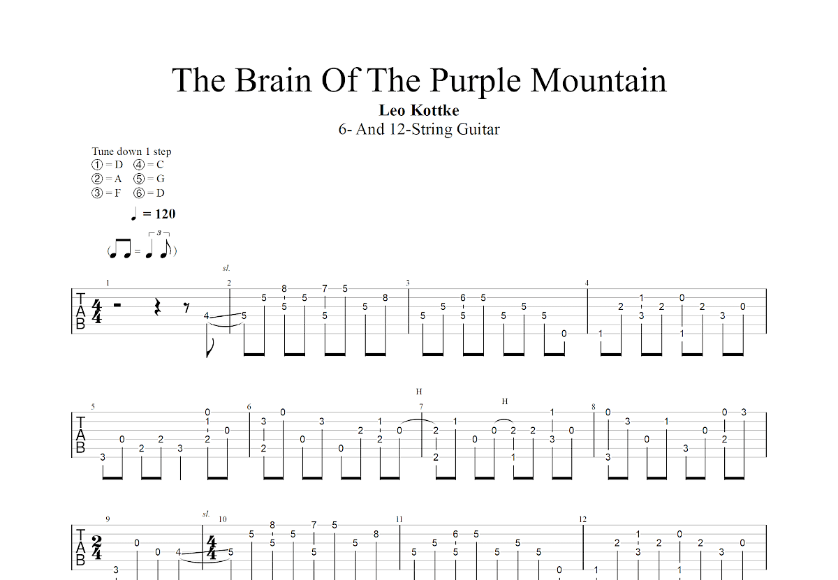 The Brain Of The Purple Mountain吉他谱_Leo Kottke_G调指弹