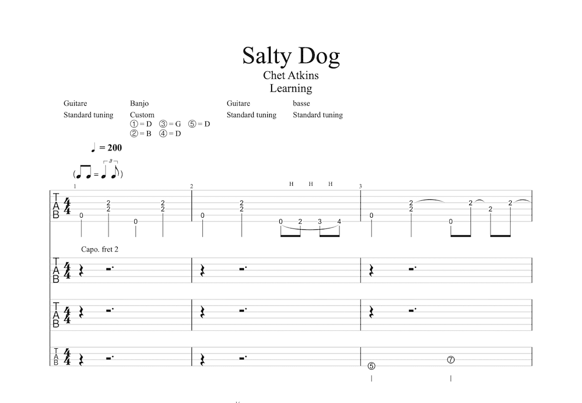 Salty Dog吉他谱预览图