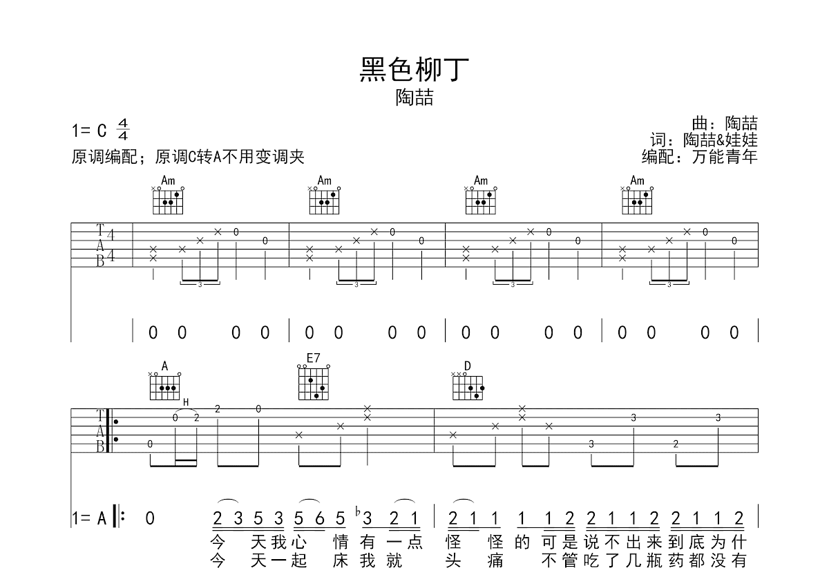 黑色柳丁吉他谱预览图