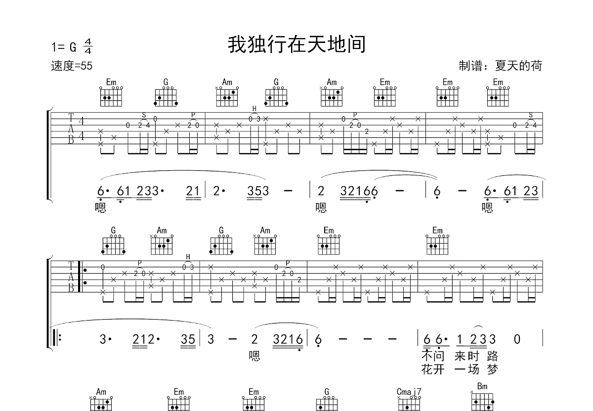 我独行在天地间吉他谱预览图