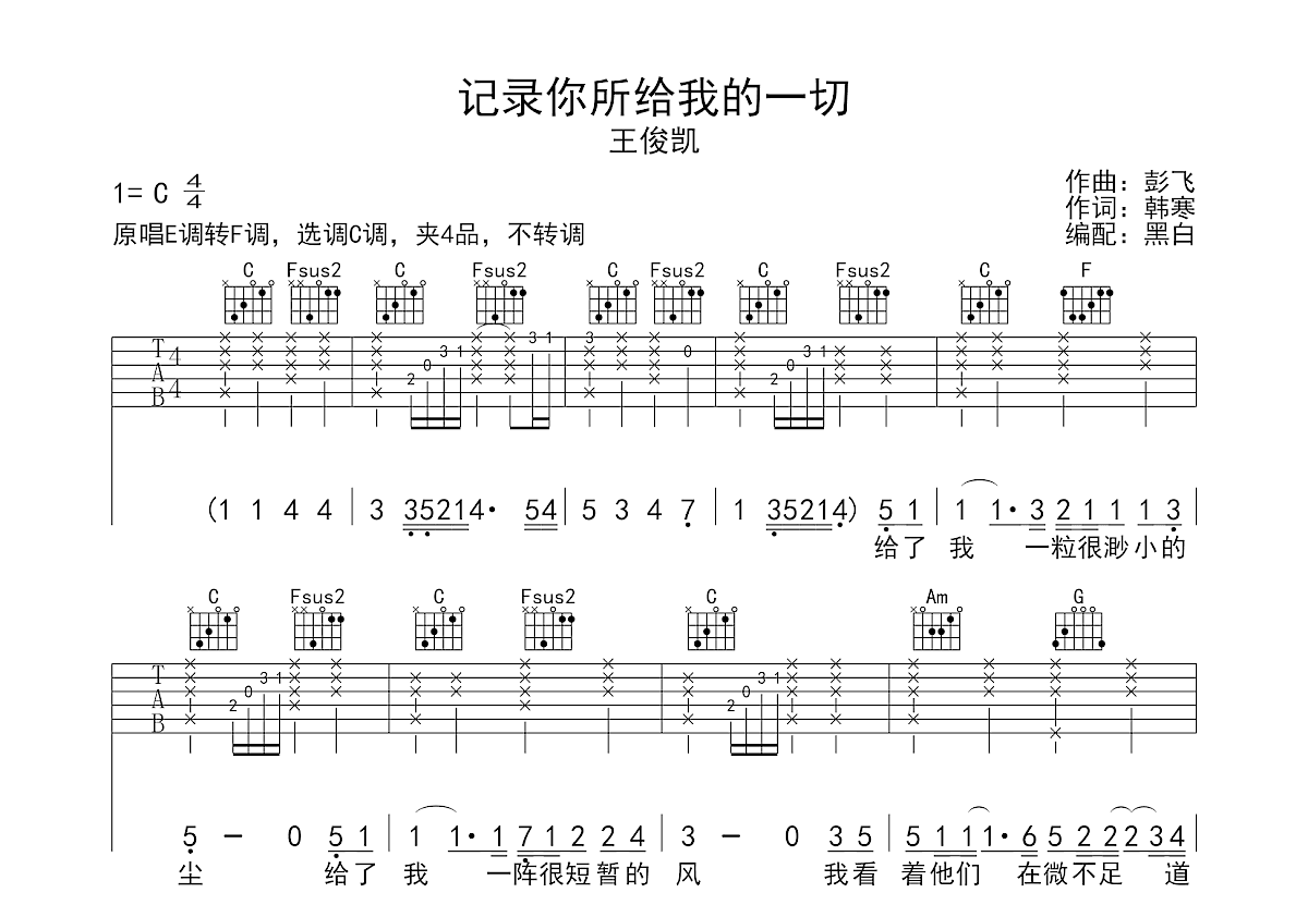 记录你所给我的一切吉他谱预览图