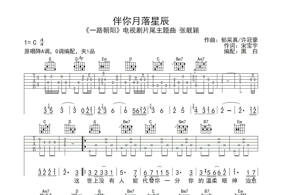 伴你月落星沉吉他谱预览图