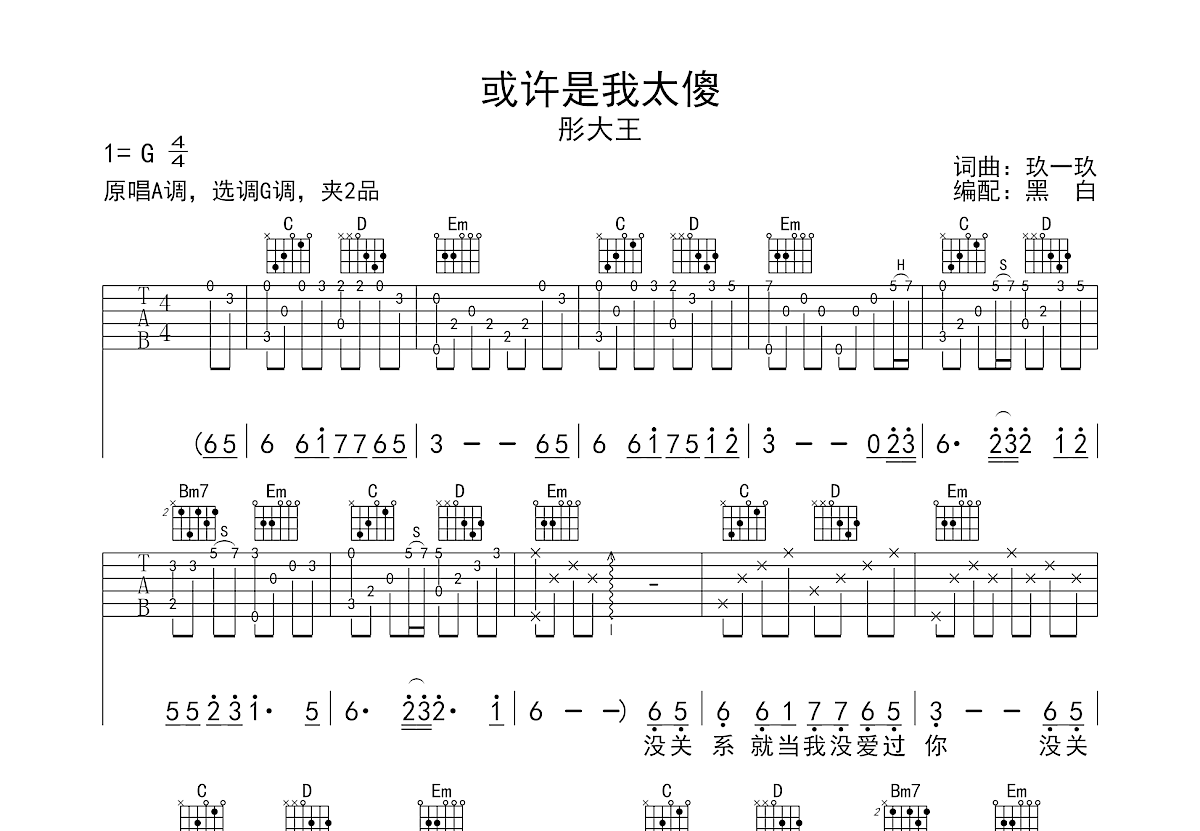 或许是我太傻吉他谱预览图