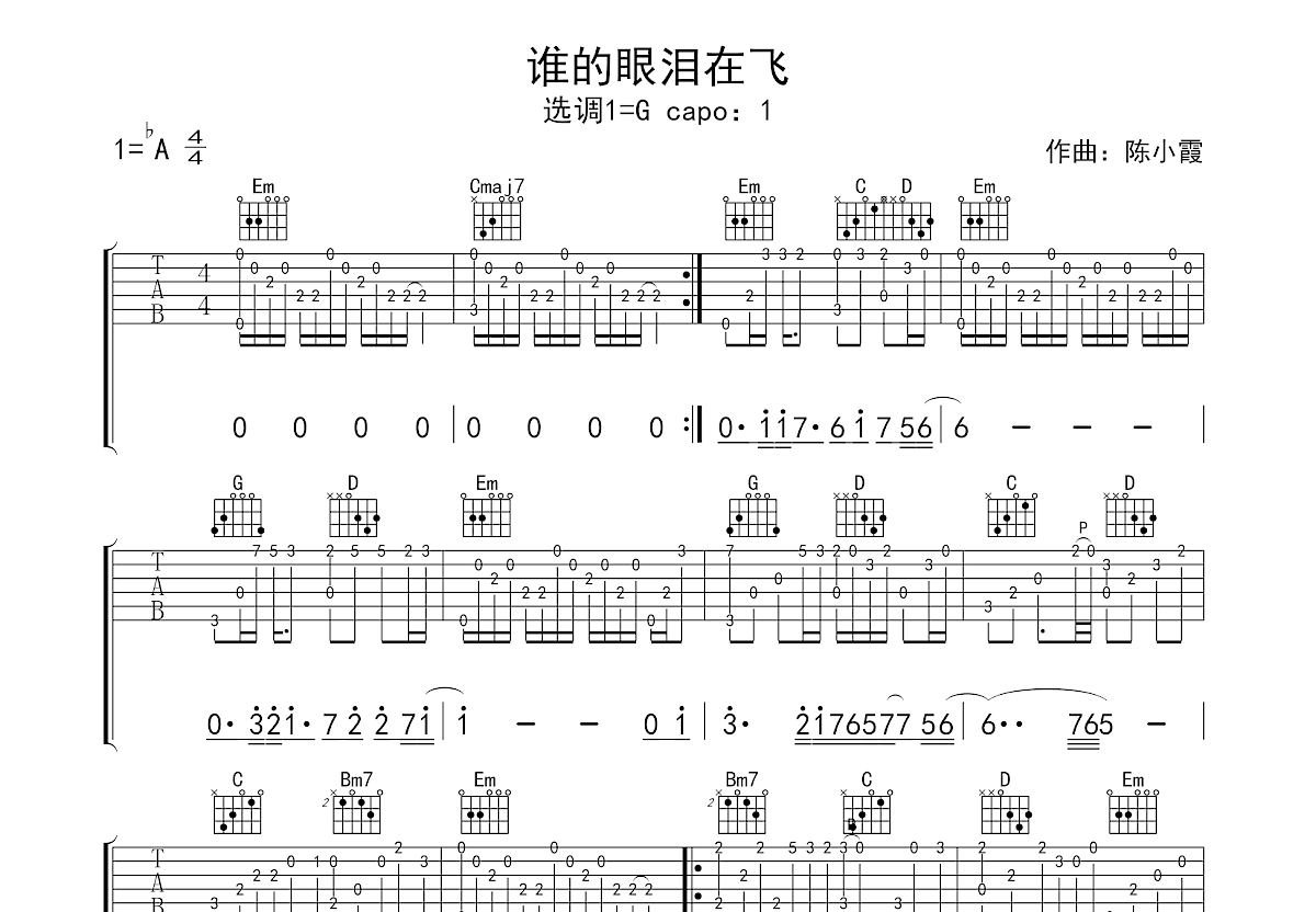 谁的眼泪在飞吉他谱预览图