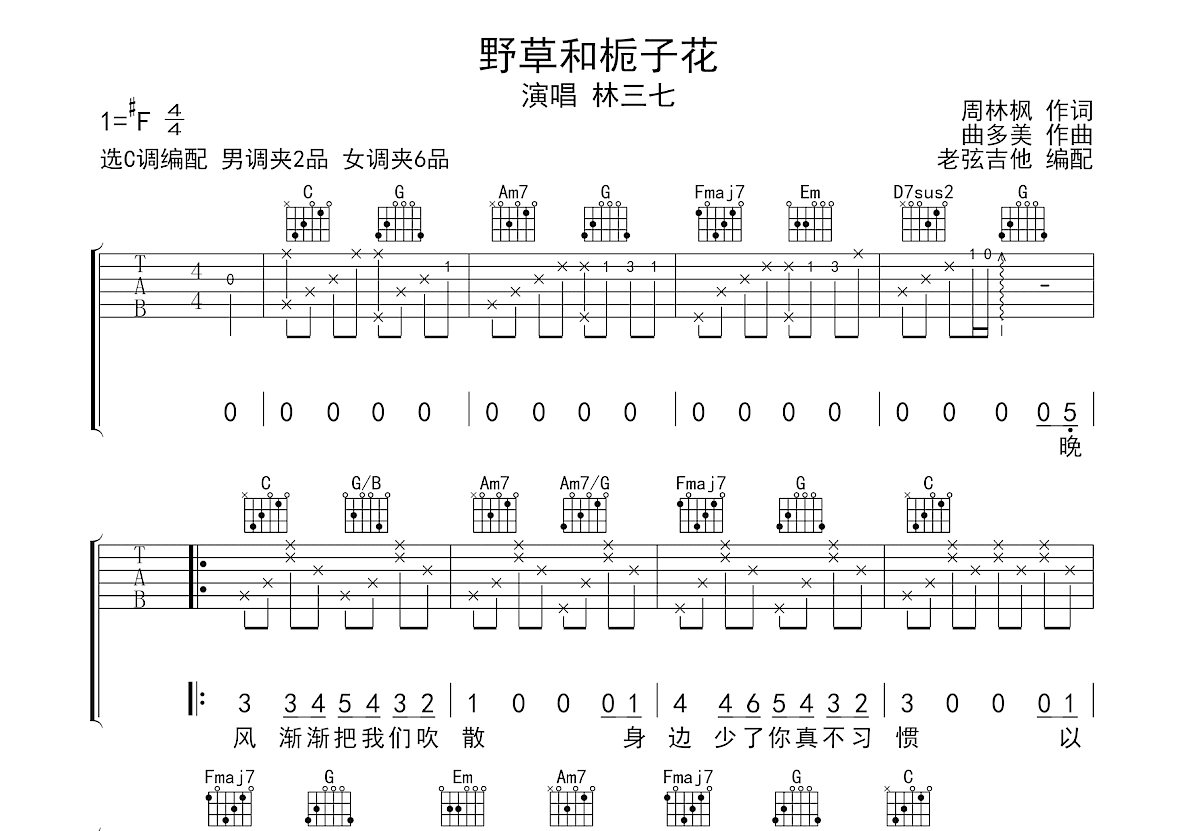 野草和栀子花吉他谱预览图