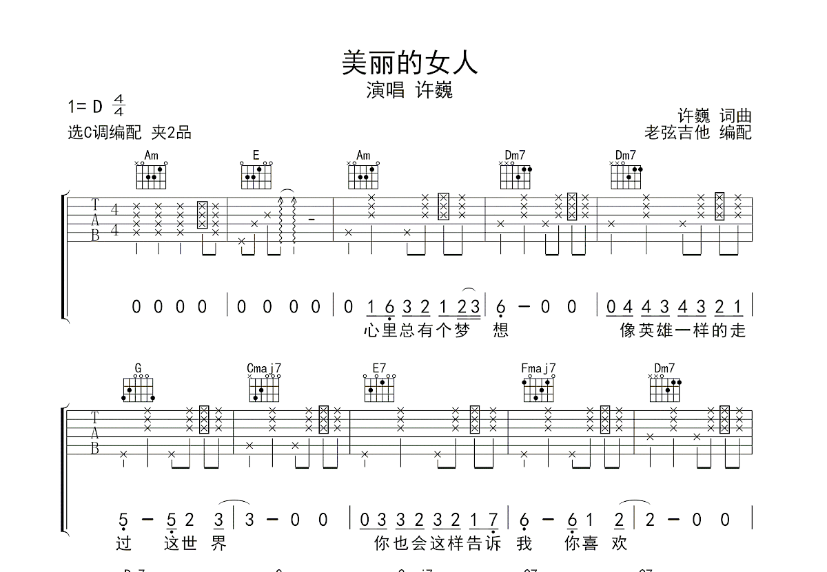 美丽的女人吉他谱_许巍_C调弹唱