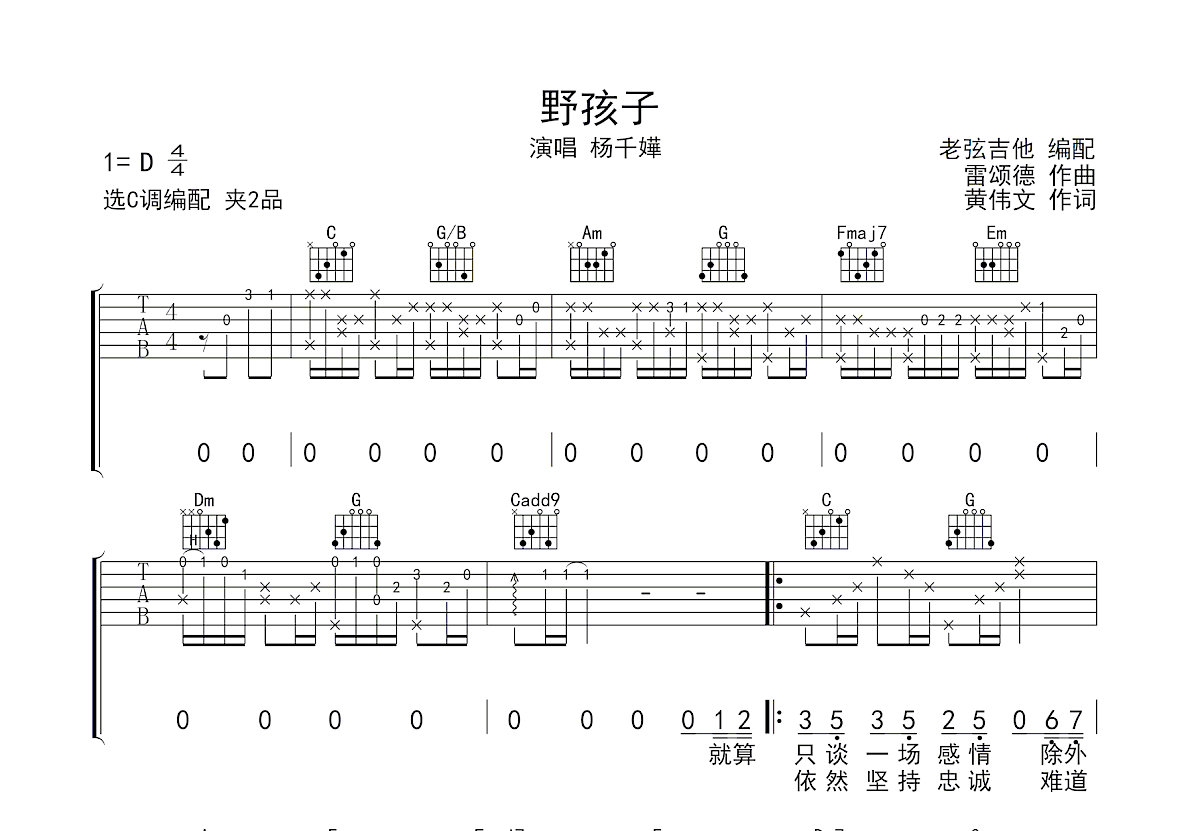 野孩子吉他谱预览图