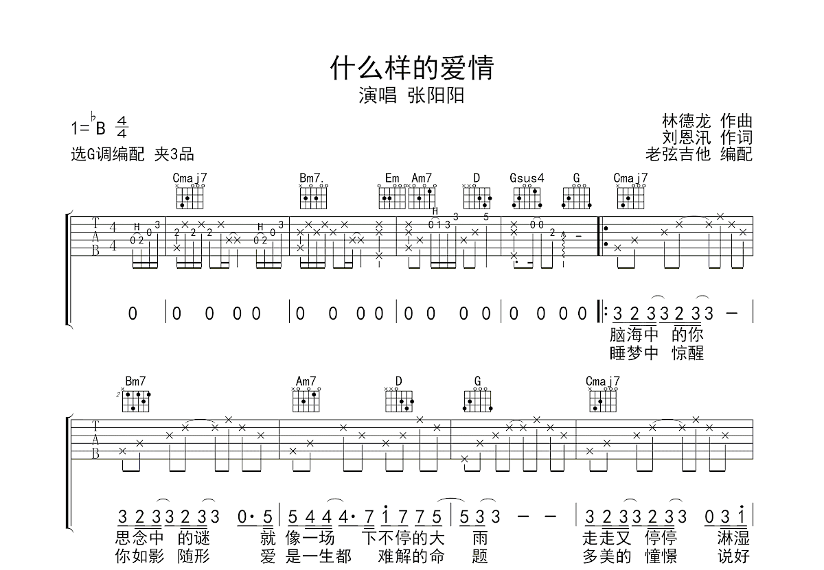 什么样的爱情吉他谱_张阳阳_G调弹唱