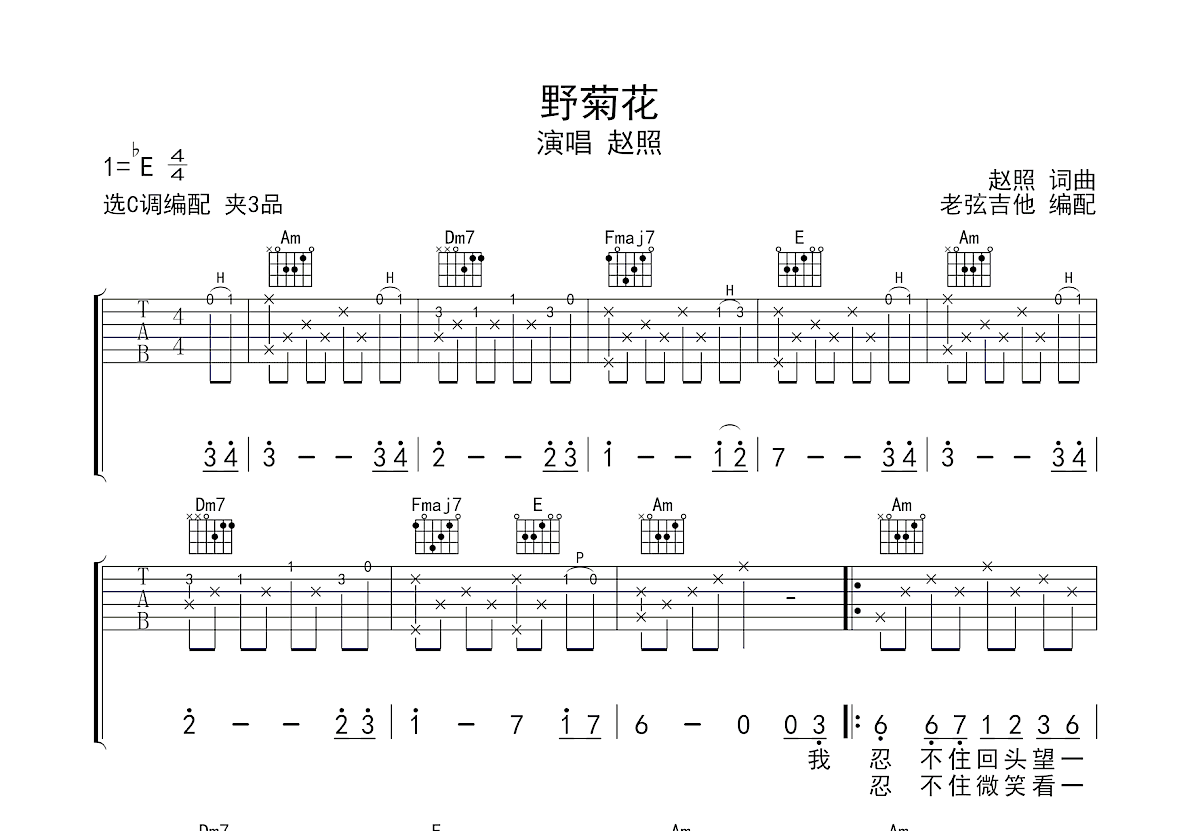 野菊花吉他谱预览图
