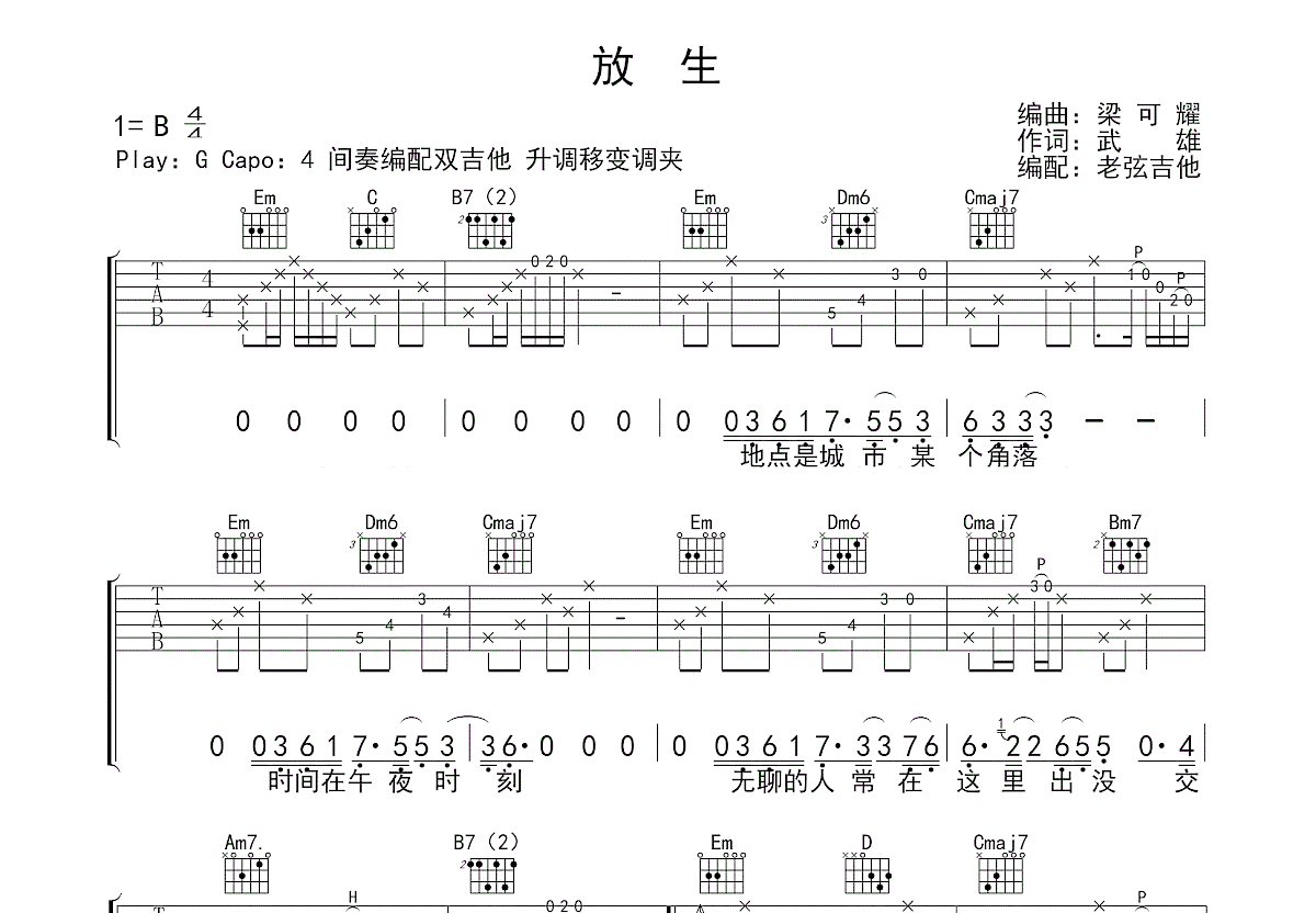 放生吉他谱预览图