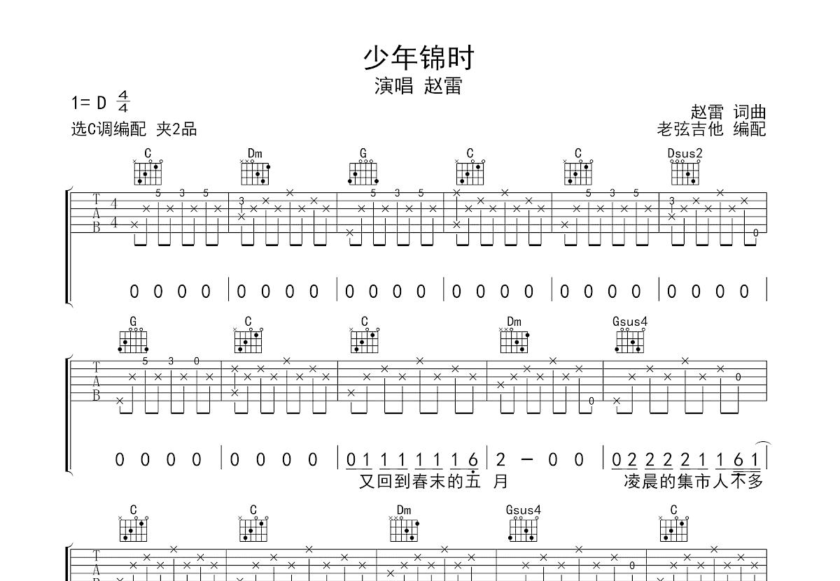 少年锦时吉他谱预览图
