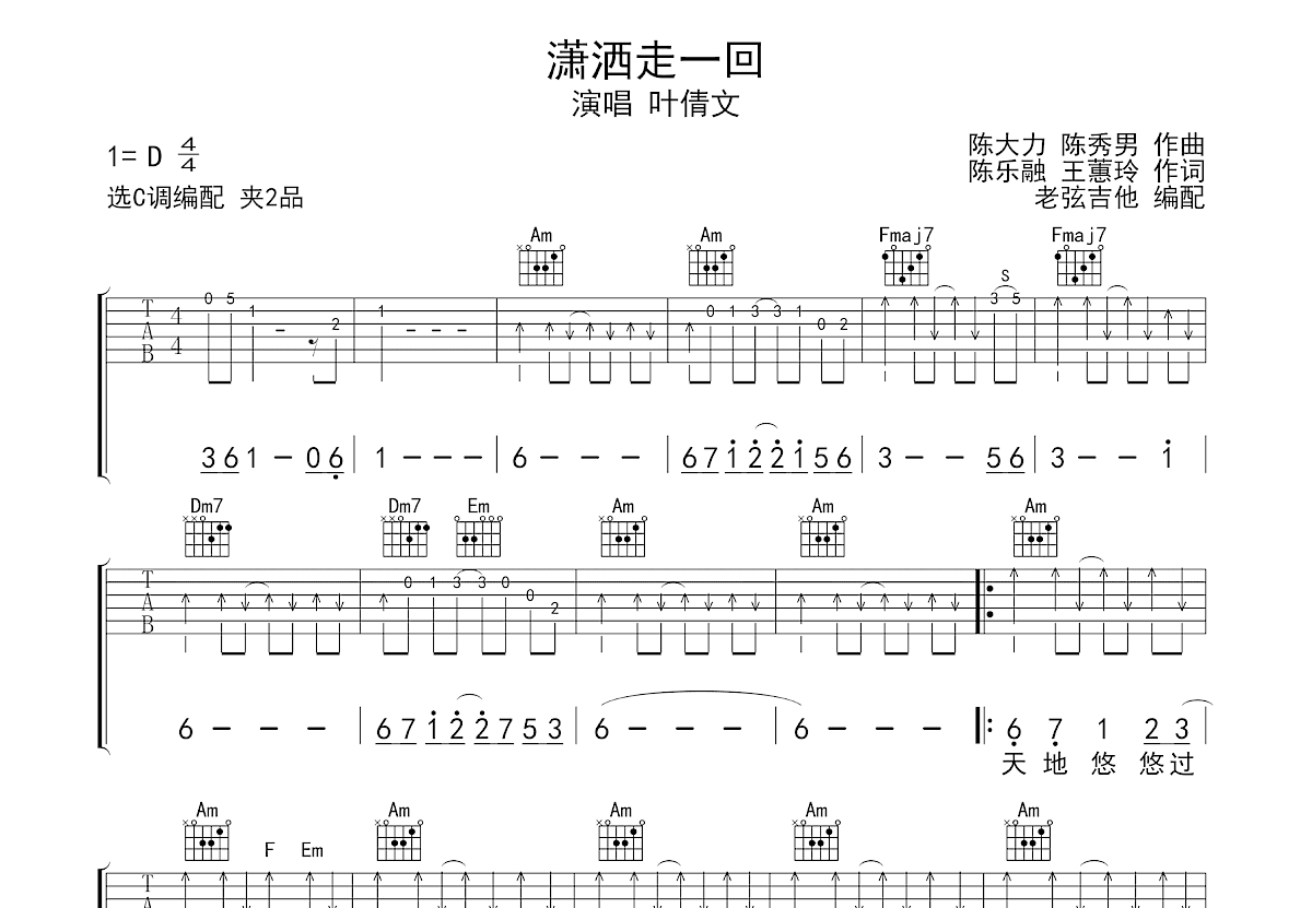 潇洒走一回吉他谱预览图