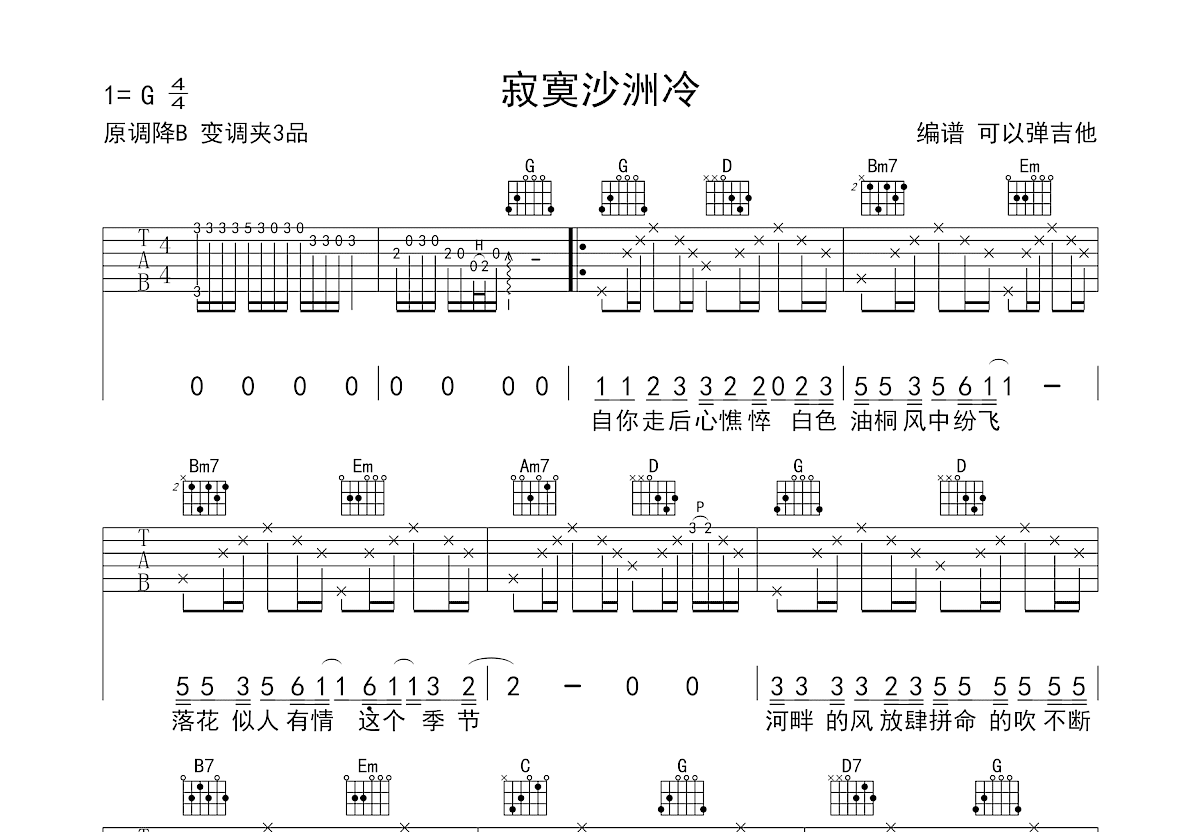 寂寞沙洲冷吉他谱预览图