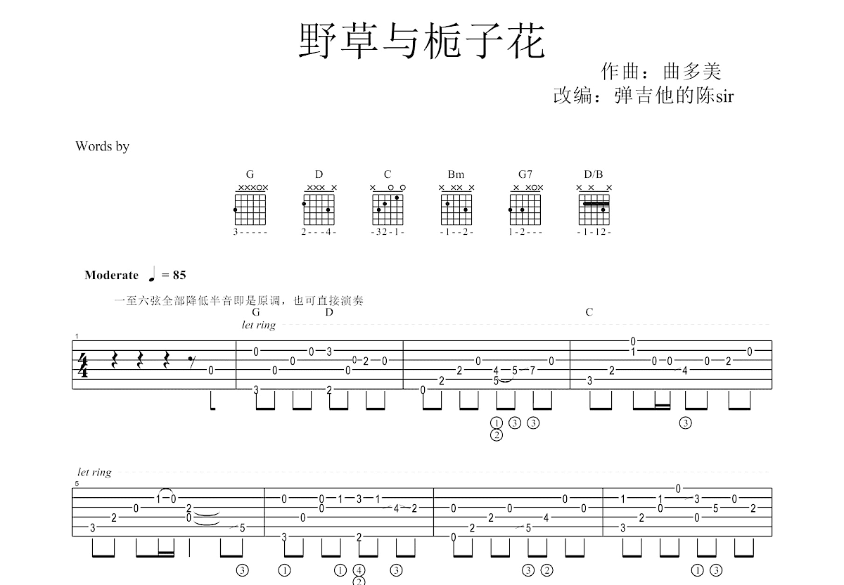 野草与栀子花吉他谱预览图