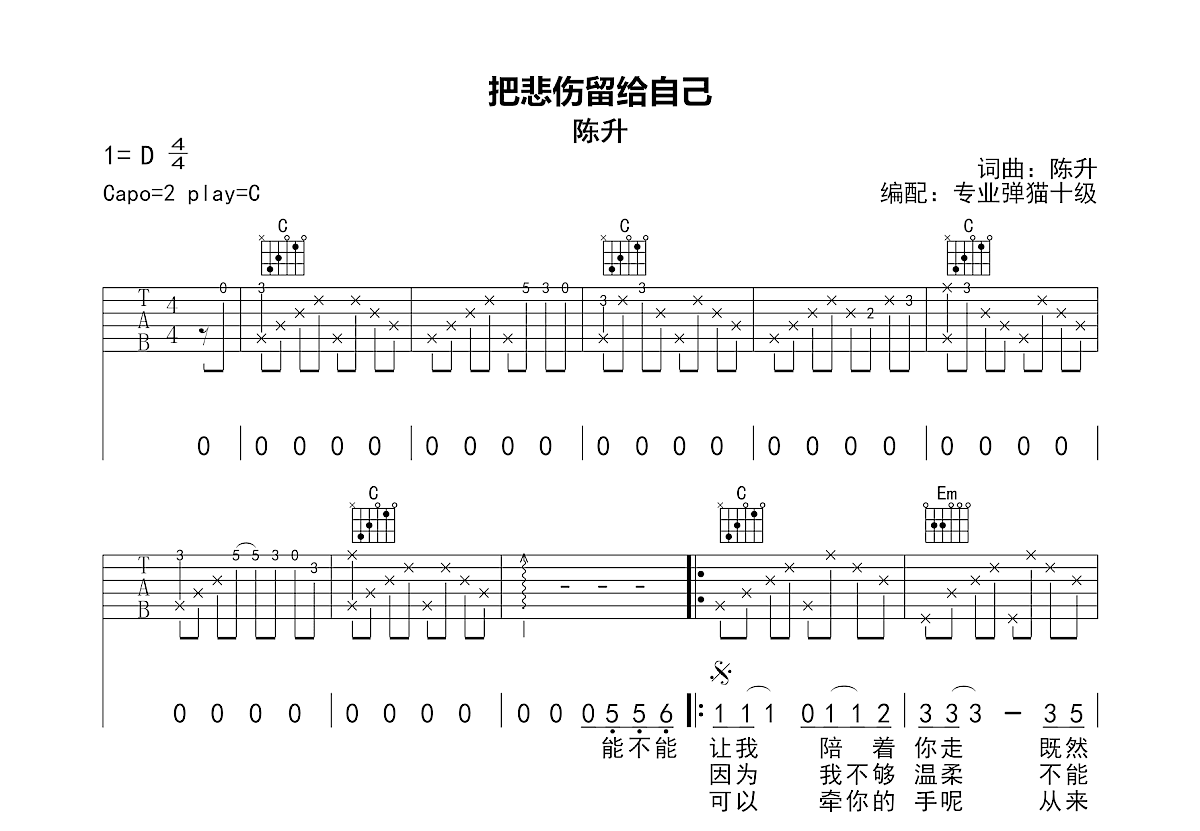 把悲伤留给自己吉他谱预览图