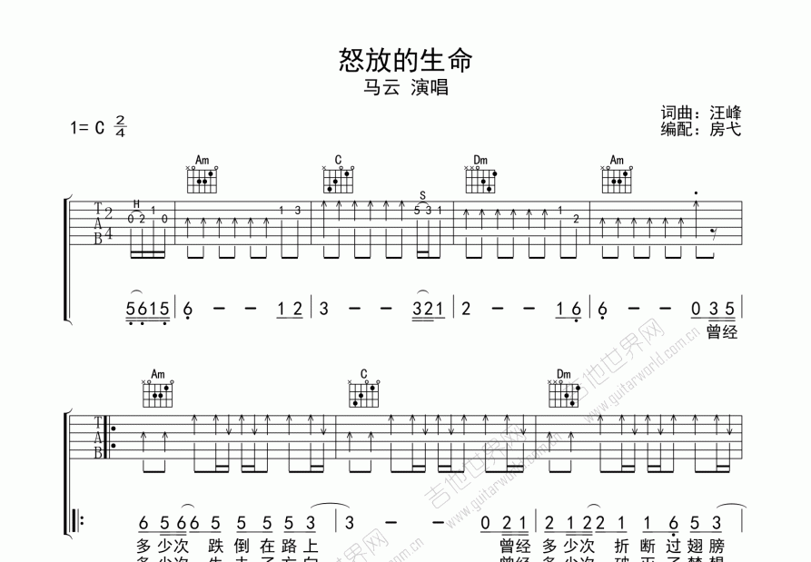 怒放的生命吉他谱预览图