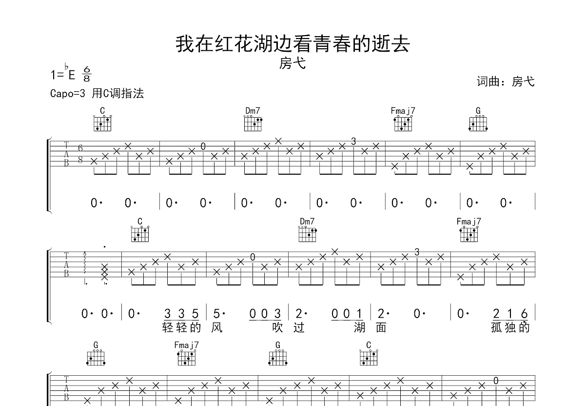 我在红花湖边看青春的逝去吉他谱预览图