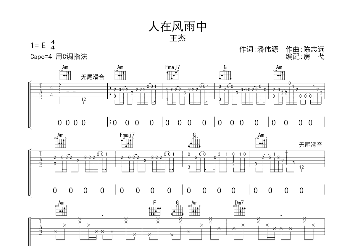 人在风雨中吉他谱_王杰_C调弹唱