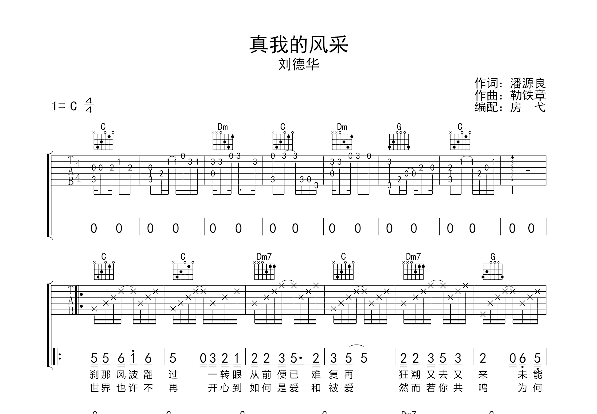 真我的风采吉他谱预览图