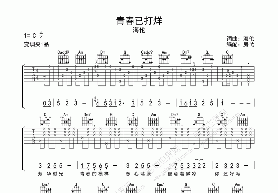 青春已打烊吉他谱预览图