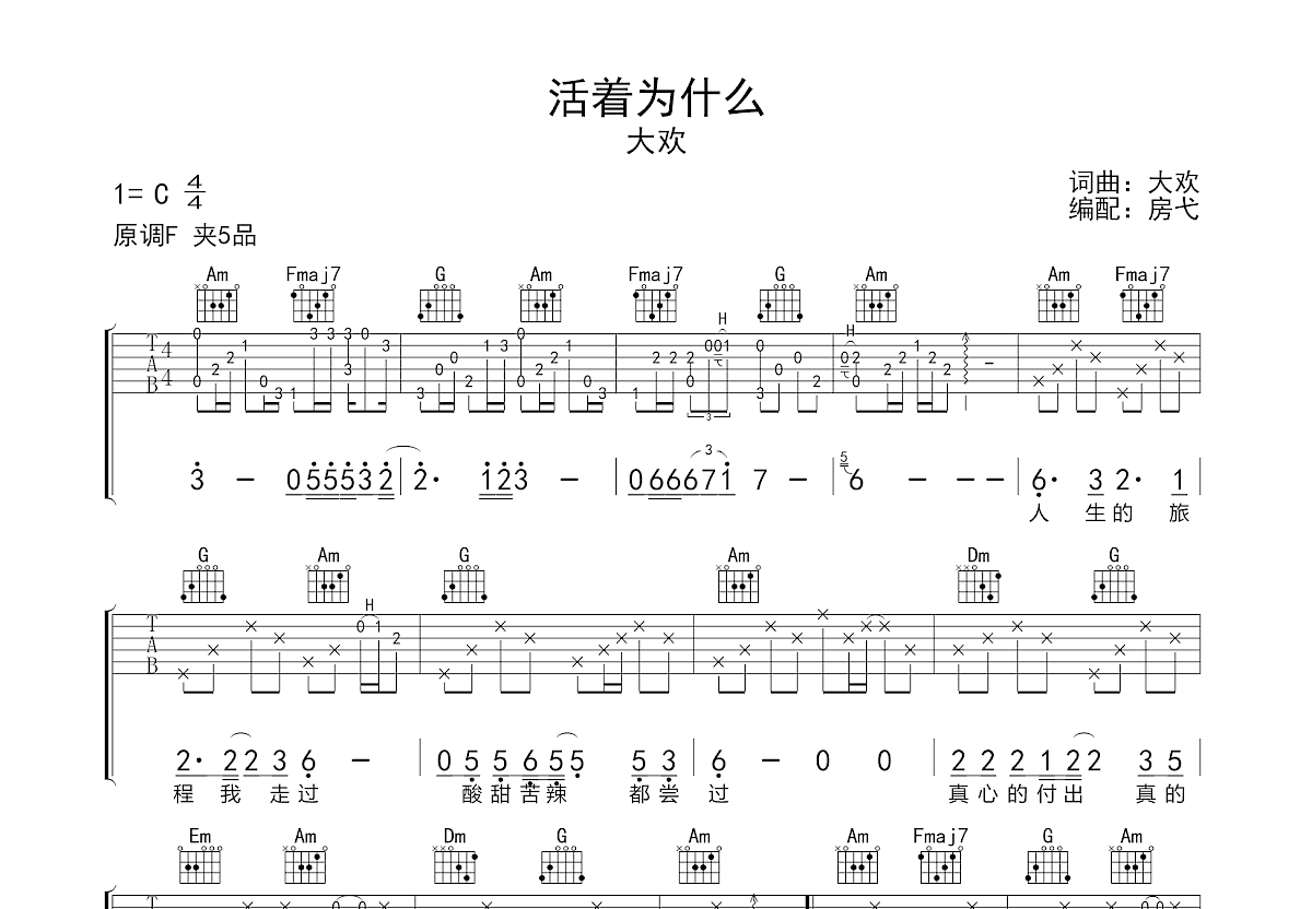 活着为什么吉他谱预览图