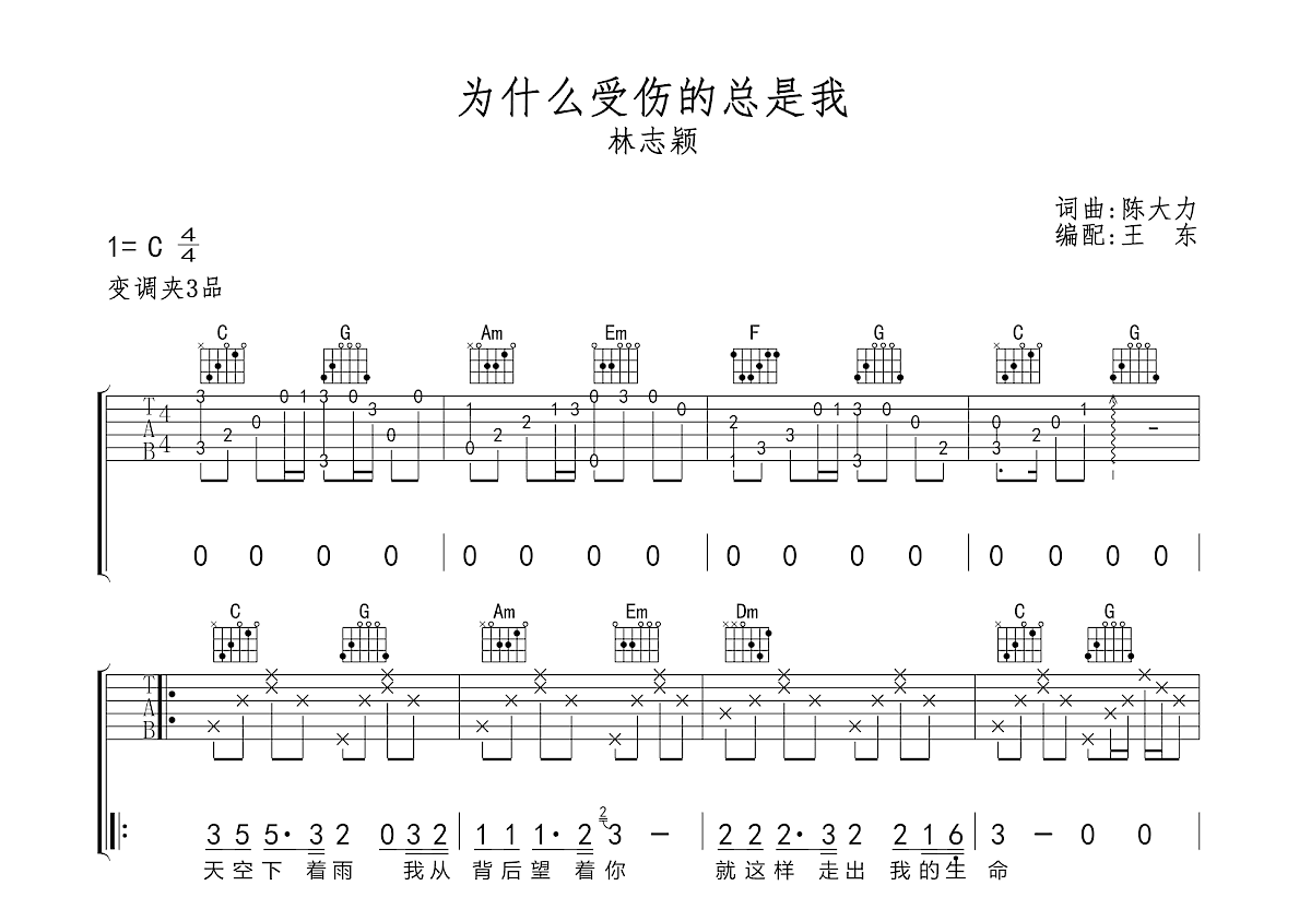 为什么受伤的总是我吉他谱预览图