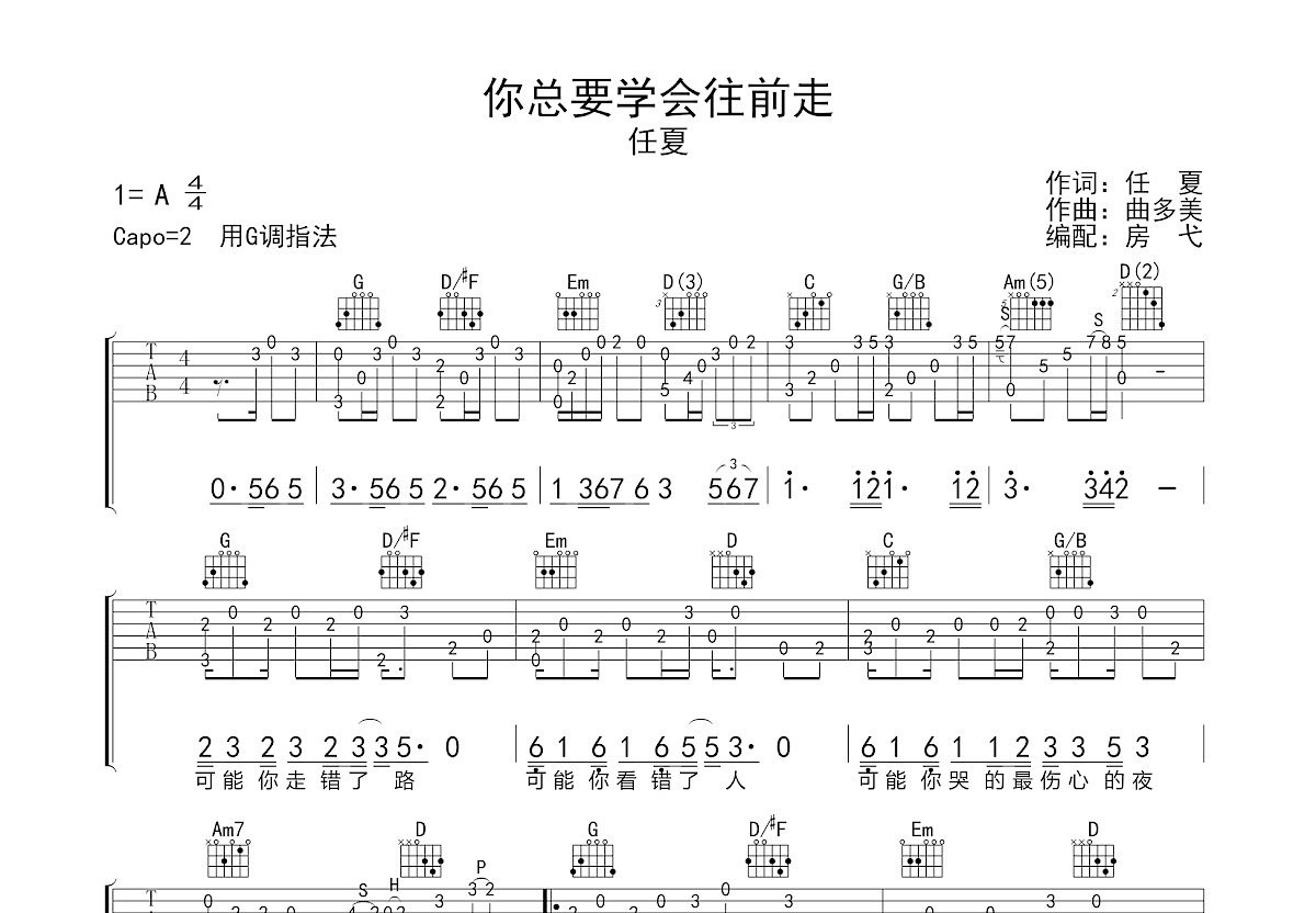 你总要学会往前走吉他谱预览图