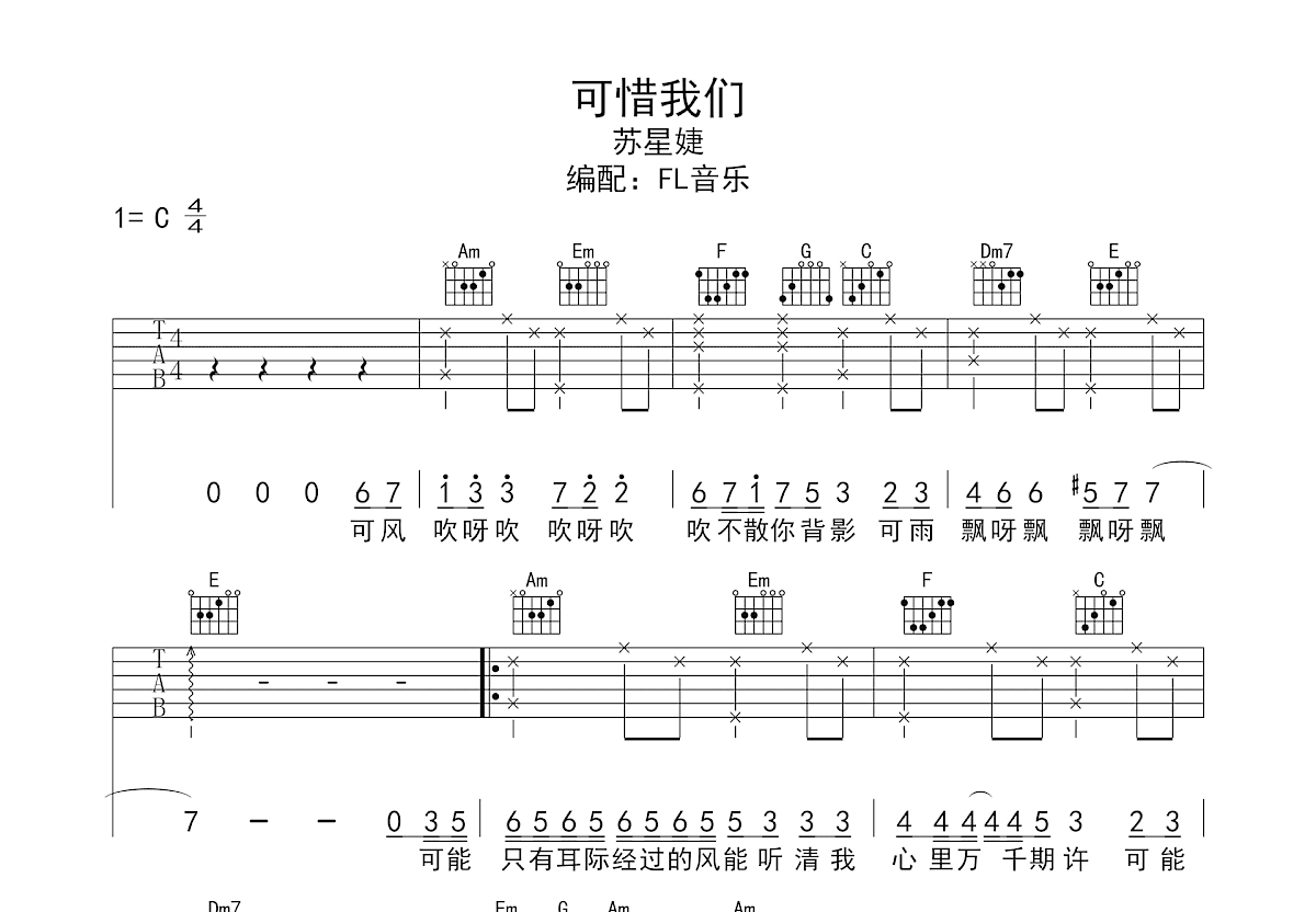 可惜我们吉他谱预览图