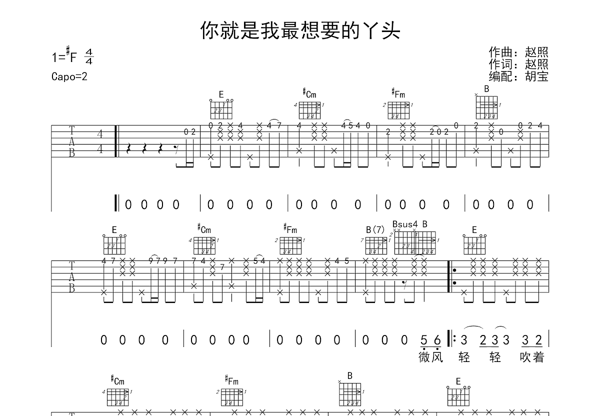 你就是我最想要的丫头吉他谱预览图