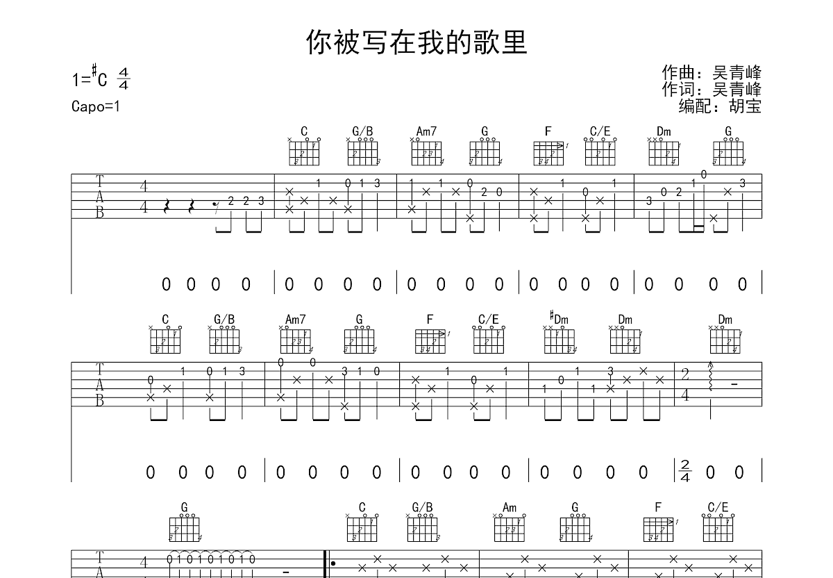 你被写在我的歌里吉他谱预览图