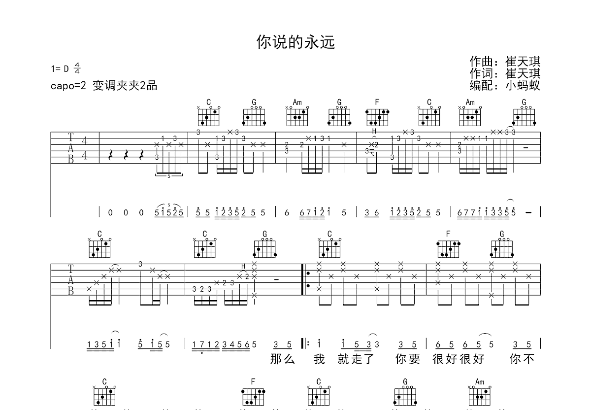 你说的永远吉他谱预览图