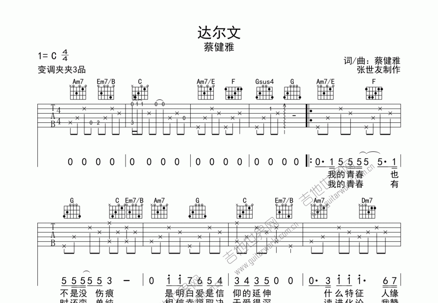 达尔文吉他谱预览图