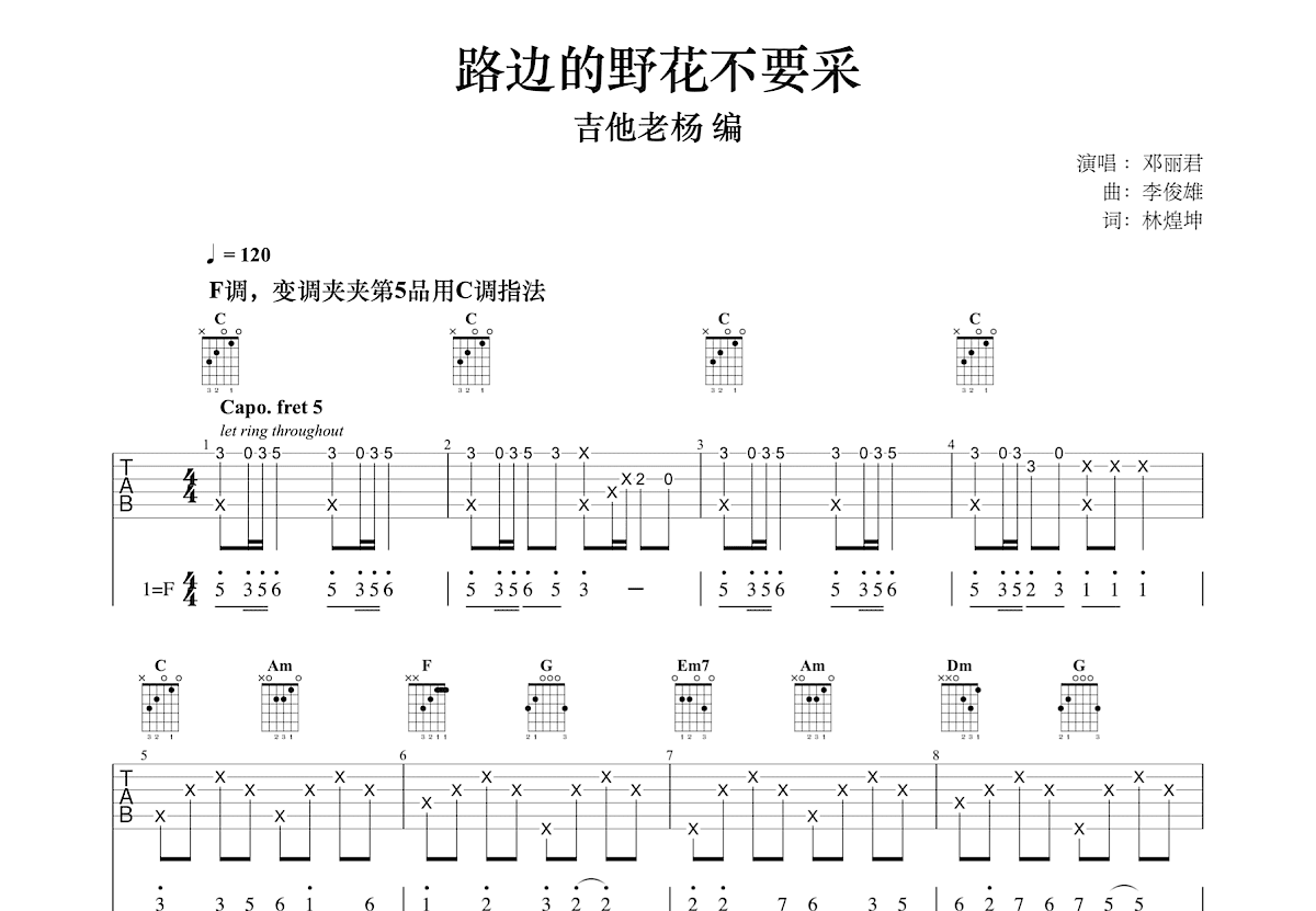 路边的野花不要采吉他谱预览图