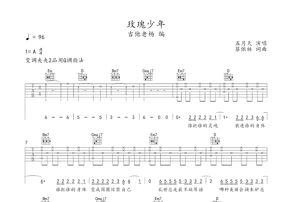 玫瑰少年吉他谱预览图