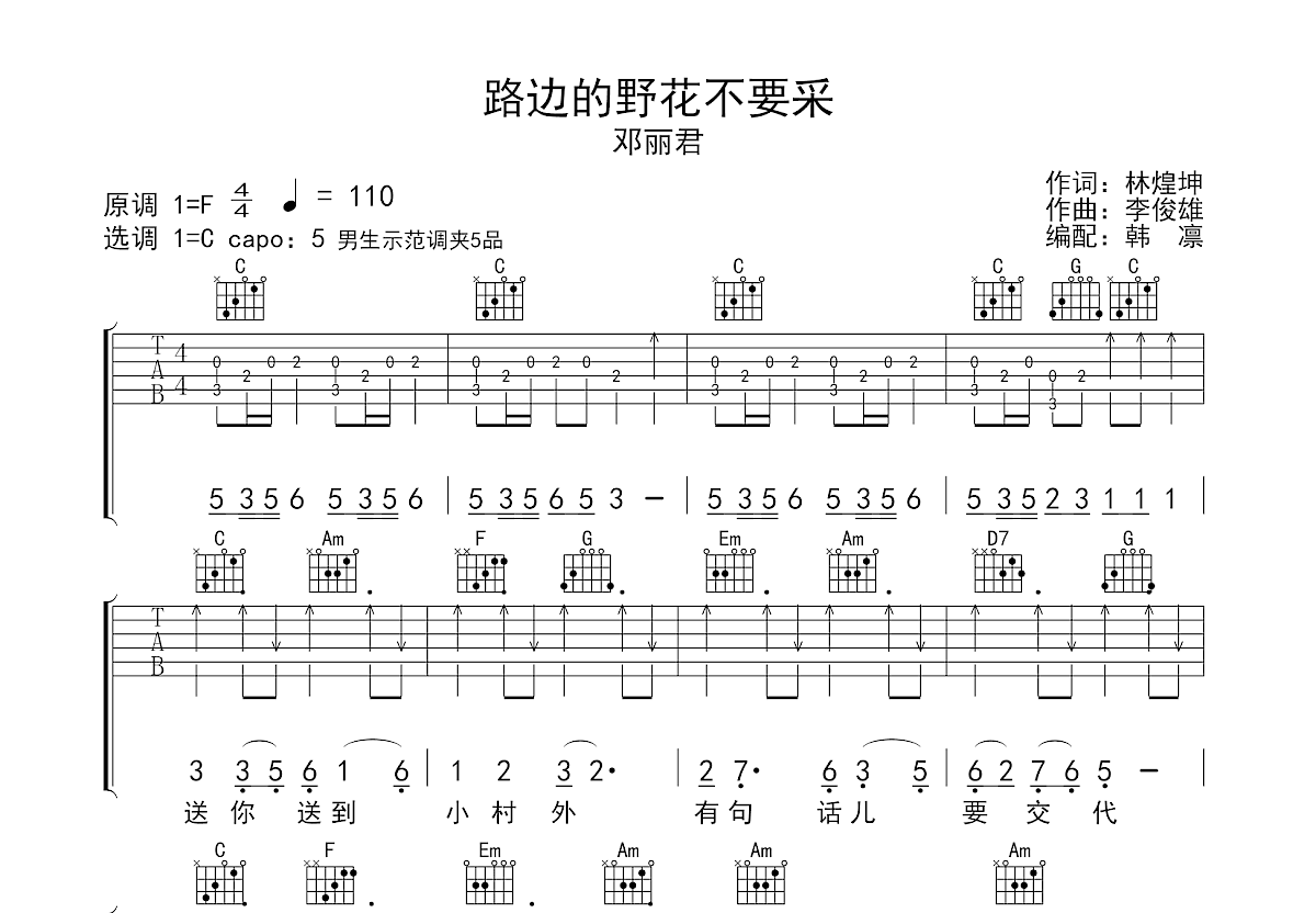 路边的野花不要采吉他谱预览图