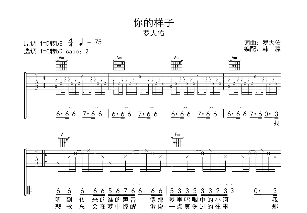 你的样子吉他谱预览图