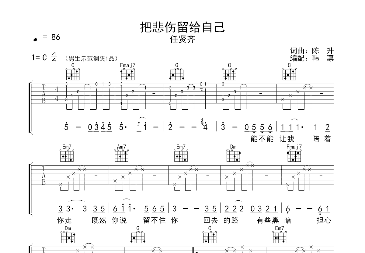 把悲伤留给自己吉他谱预览图