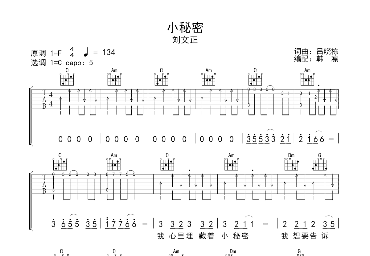 小秘密吉他谱预览图