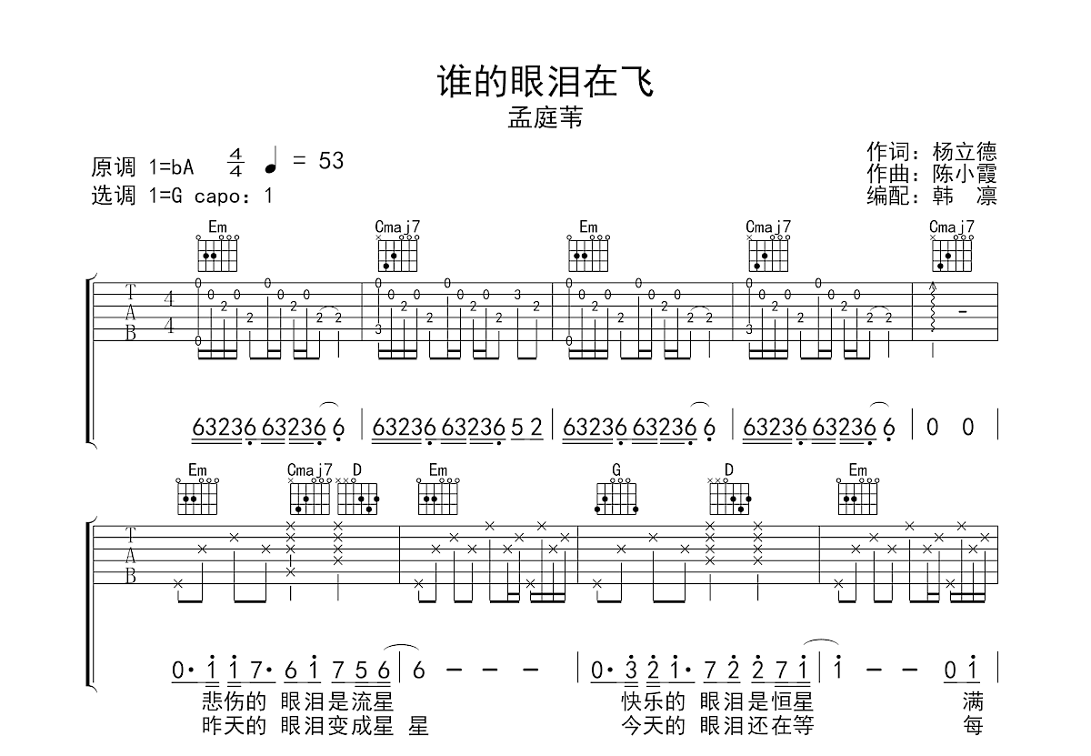 谁的眼泪在飞吉他谱预览图