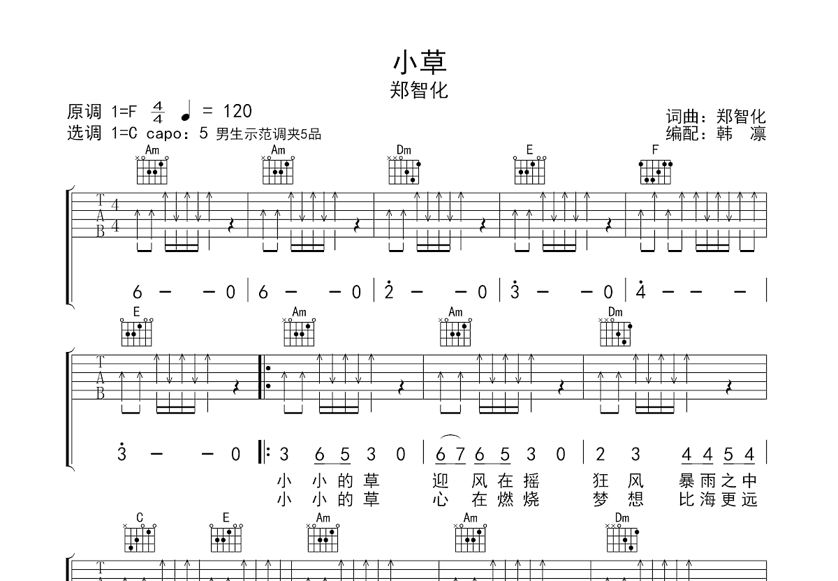 小草吉他谱预览图