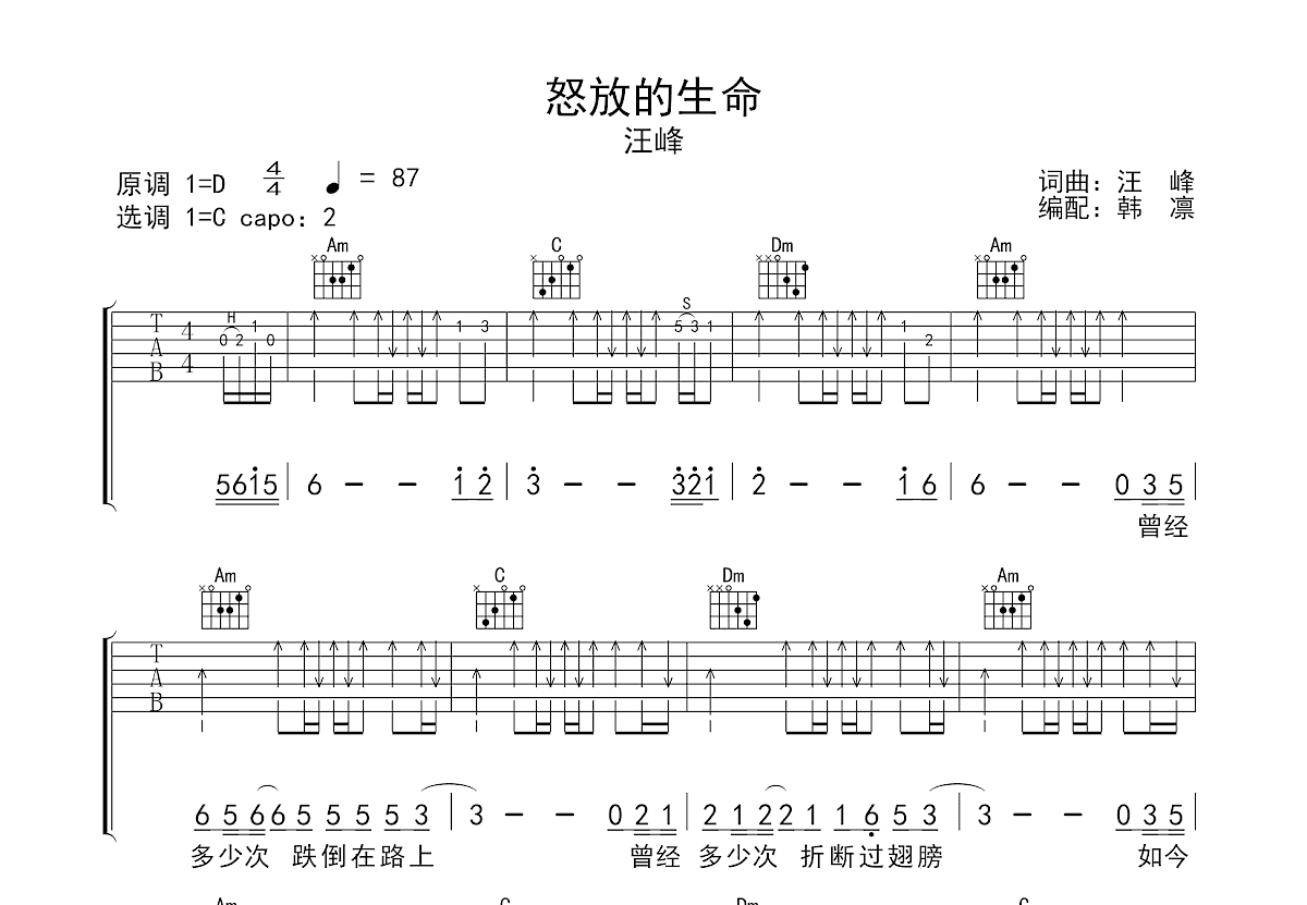 怒放的生命吉他谱预览图