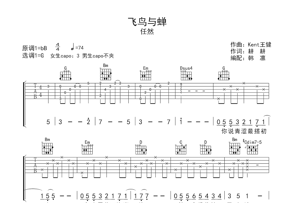 飞鸟与蝉吉他谱预览图