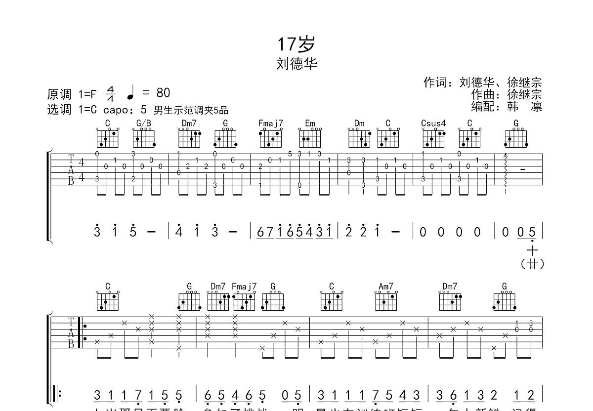 17岁吉他谱预览图