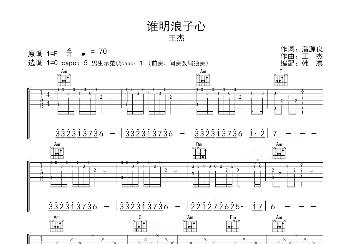 谁明浪子心吉他谱预览图