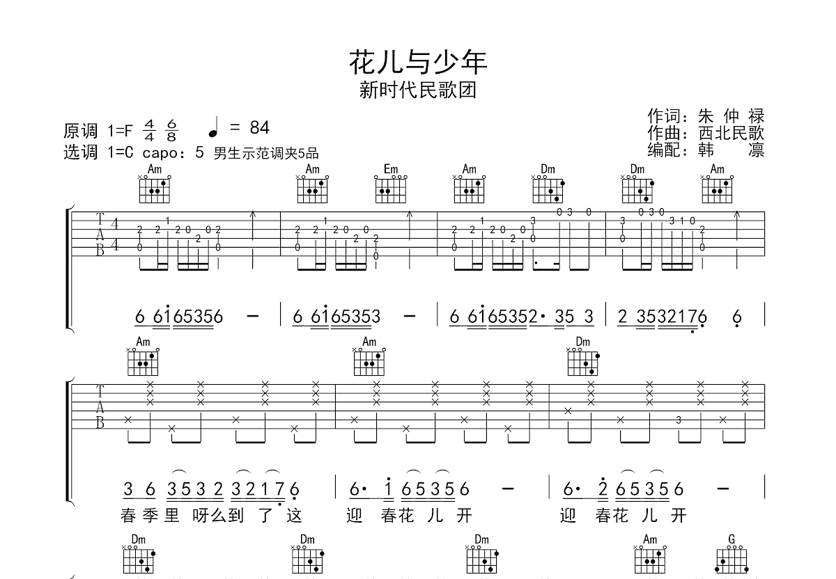 花儿与少年吉他谱_新时代民歌团_F调弹唱