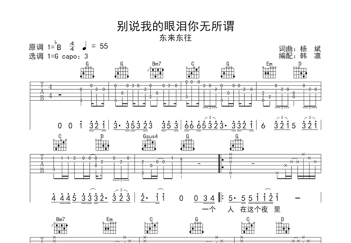 别说我的眼泪你无所谓吉他谱预览图