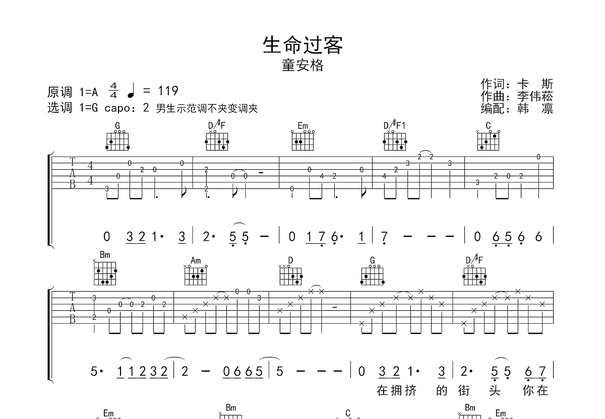 生命过客吉他谱预览图