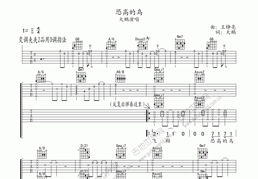 恐高的鸟吉他谱预览图