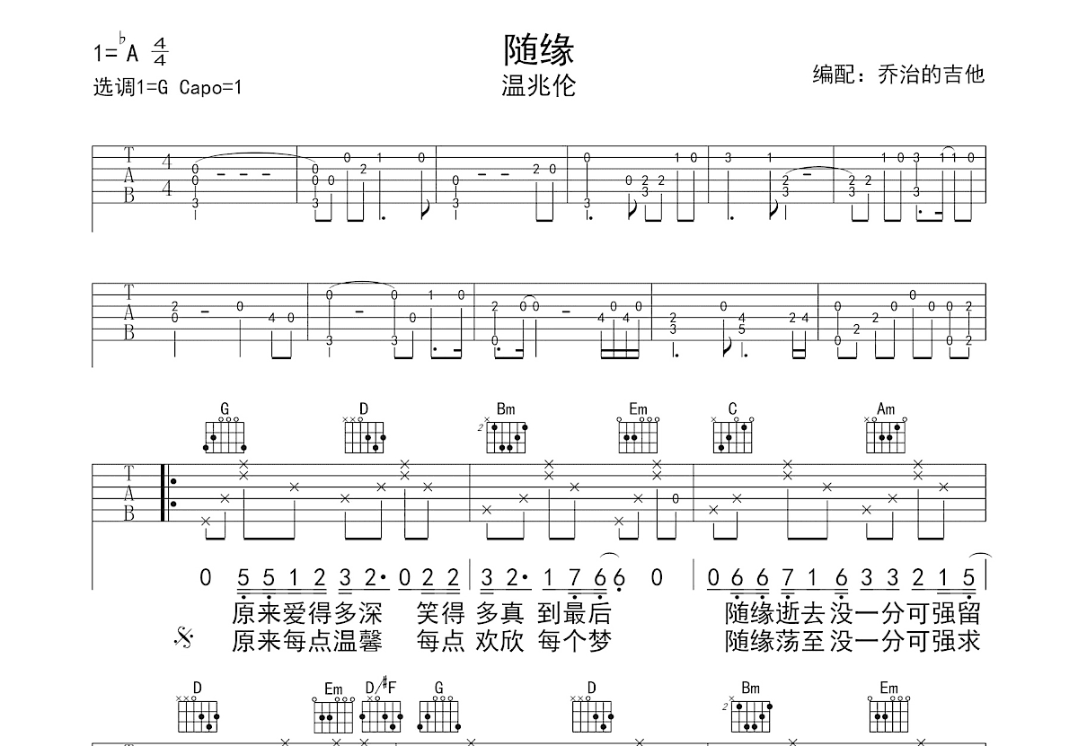 随缘吉他谱预览图