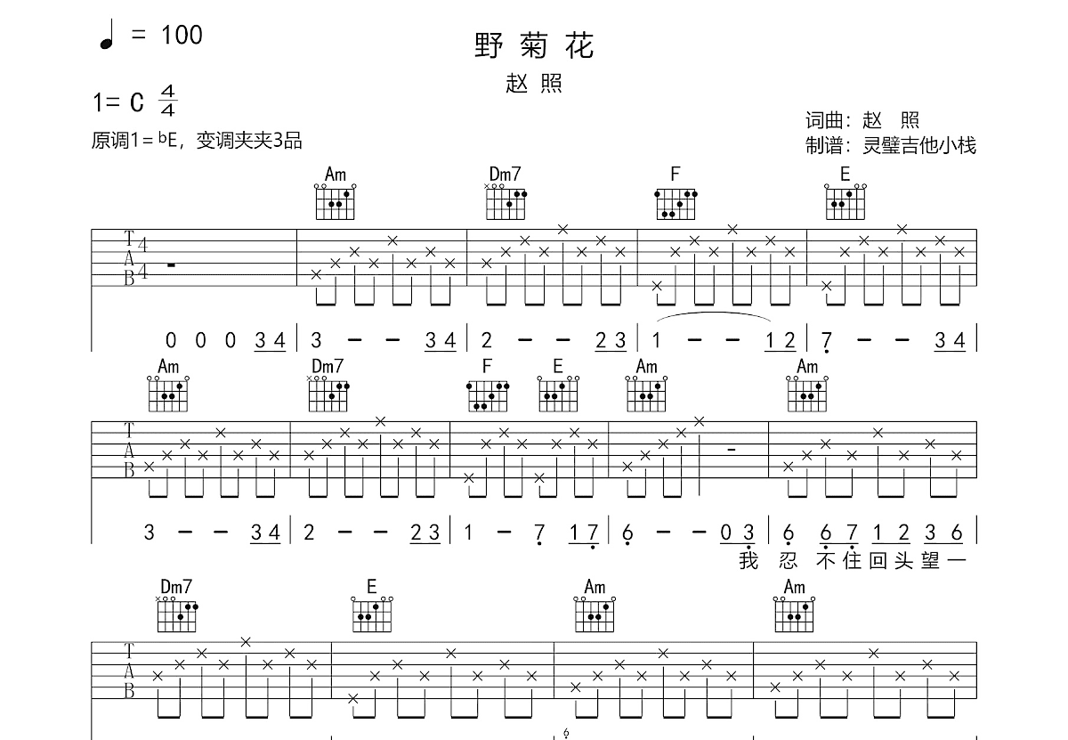 野菊花吉他谱预览图